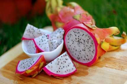 co-nen-cho-be-an-du-du-va-thanh-long-2